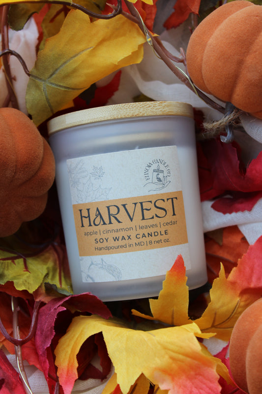 HARVEST | 8 oz Candle